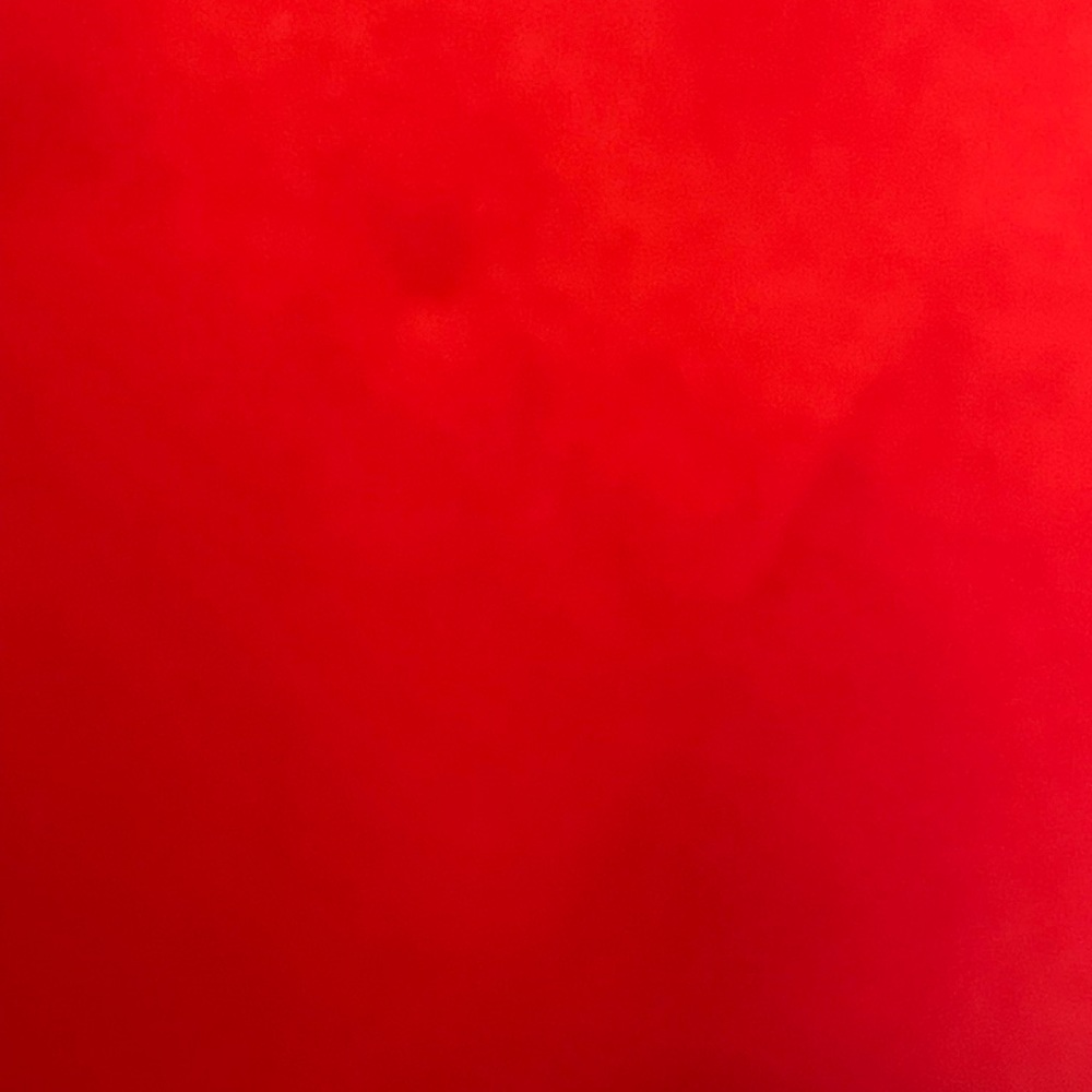 Style Auto Red Jacket - Picture 7 of 16